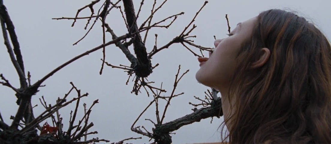 Olga Kurylenko : Marina, A la merveille, Terrence Malick