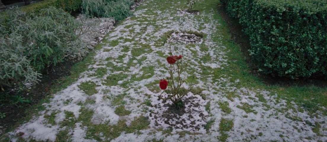 A la merveille, Terrence Malick